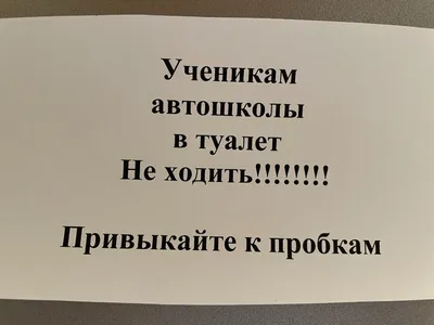 Очень смешные объявления в туалетах и подъездах. Творчество наших людей не  имеет границ | Штуки из труб | Дзен