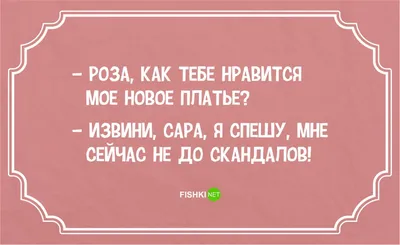 еврейский юмор, еврейская семья, одесский юмор, одесский юмор афоризмы,  лучшие одесские шутки, евреи ш… | Юмористические цитаты, Позитивные цитаты,  Правдивые цитаты