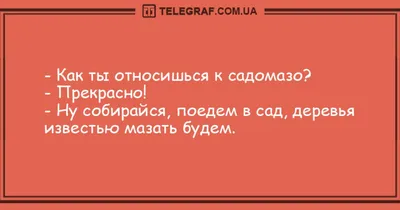 Свежайший юмор и отпадные анекдоты в картинках