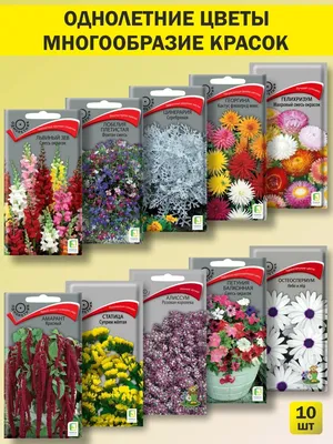 Семена однолетних цветов для сада и дачи набор Агрохолдинг Поиск 135739950  купить в интернет-магазине Wildberries