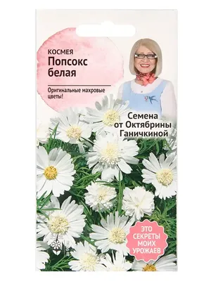 Купить рассаду однолетних цветов по цене от 319 руб. | ДАЧНАЯ ЭНЦИКЛОПЕДИЯ