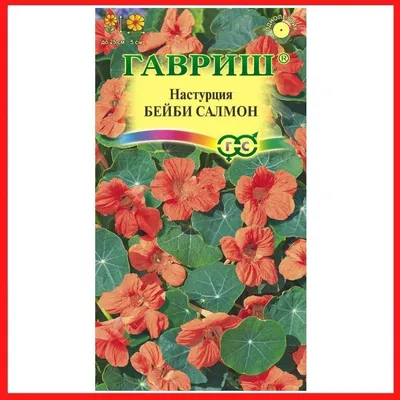Пять контейнерных растений для дачи, с которыми всегда будет красиво -  28.05.2017, Sputnik Беларусь