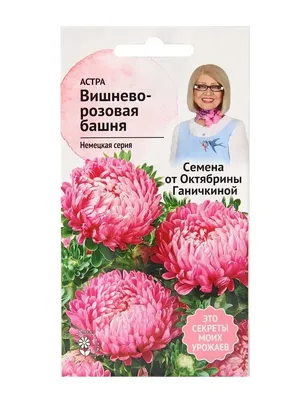 Однолетние цветы, как сажать петуньи, гацании, что посадить в саду июнь  2022 года - 17 июня 2022 - НГС