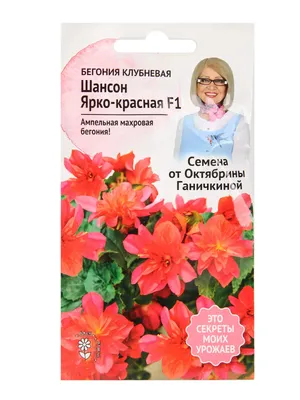 АГРОСИДСТРЕЙД Астра Вишнево-розовая башня 0,3 г / семена однолетних цветов  для сада / однолетние цветы / для дачи