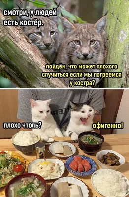 Футболка с прикольным принтом подарок мужчине Neon wear 91578881 купить за  624 ₽ в интернет-магазине Wildberries