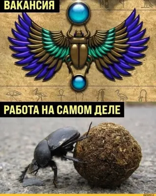 Ну Саня👽😂😂😂🖒😅😅 #мемы #юмор #приколы #мемы2021#мемы #юмор #приколы  #мемы2021 #мемы #юмор #приколы #мемы2021 #мемы #юмор #приколы… | Instagram