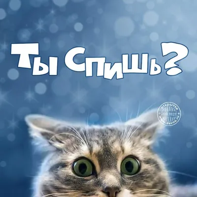 Подушка Офигенный борщ. Прикольный подарок повару. (ID#1274381954), цена:  354 ₴, купить на Prom.ua
