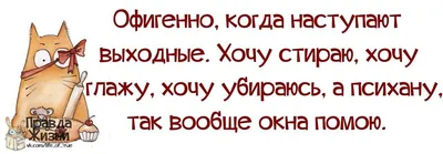 С добрым утром и хорошим днем прикольные необычные и веселые картинки (46  фото) » Красивые картинки, поздравления и пожелания - Lubok.club