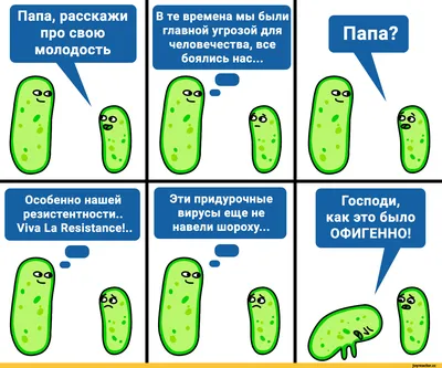 Винегрет\" № 7. Интересные,смешные и прикольные фото! Смотрите! Улыбайтесь!  Комментируйте! | ОБО ВСЕМ ПОНЕМНОГУ | Дзен
