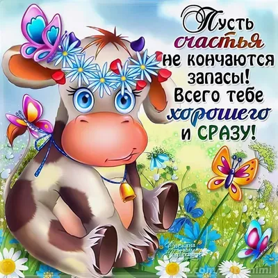 Картинки с юмором прикольные