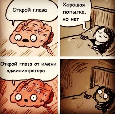 Фото приколы вторника и не думай о тарифах свысока | Mixnews