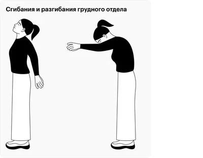 Упражнения для офисных работников