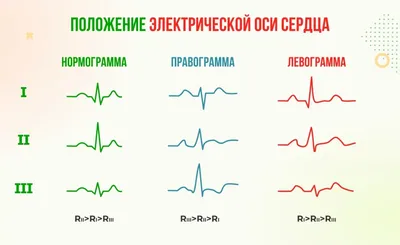 Офисная гимнастика - 30 фото