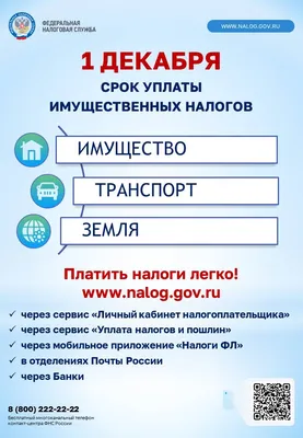 Издательство Феникс Пальчиковая гимнастика: Авторский курс в стихах и  картинках