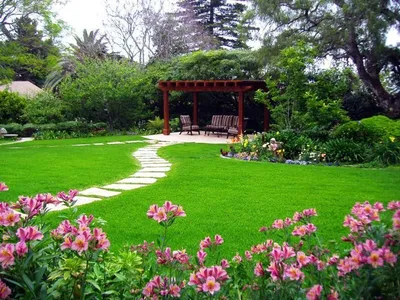 Какой вид рулонного газона выбрать для дома и дачи | Park Decor