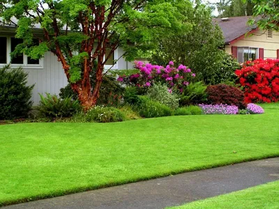 Как самостоятельно оформить газон на даче: секреты | Озеленение двора,  Ландшафтный дизайн заднего двора, Озеленение заднего двора