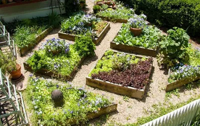Красивый огород своими руками: оформление огорода на дачном и садовом  участке — фото и идеи | Houzz Россия