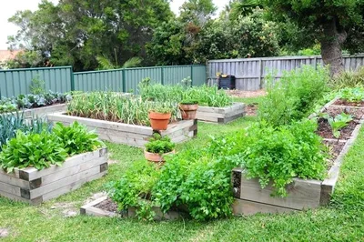 Дизайн огорода своими руками: оформление грядок в саду +75 фото |  Декоративный огород, Небольшой сад, Садовые ящики
