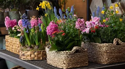 Купить клумбу, вазон для цветов, пластиковую урну для мусора | tetto.ru