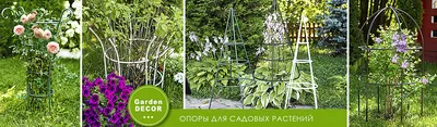 Декоративный огород | prolandscape