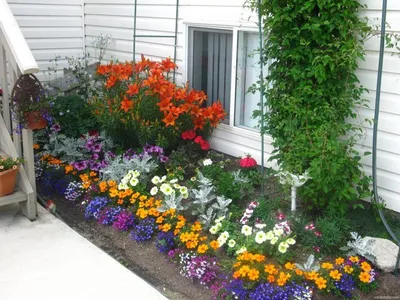 Клумбы и цветники на даче или участке загородного дома