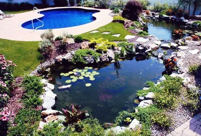 Как делается пруд на даче – искусственный декоративный водоем в саду и на  участке, красивое оформление пруда, фото