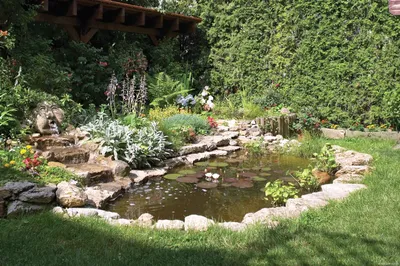 Пруд на даче: как сделать своими руками декоративный пруд возле дома и в  саду из подручных материалов? Лучшие идеи ландшафтного дизайна