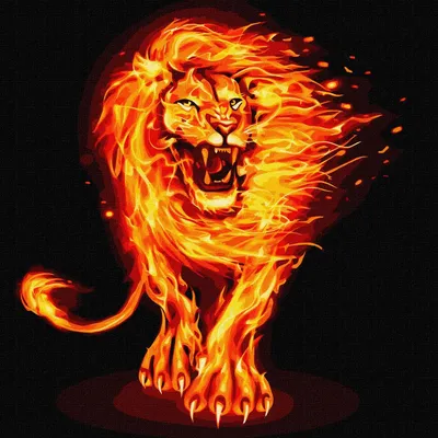 Огненный лев картинки фотографии