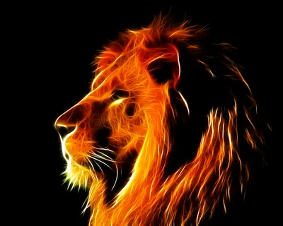 Огненный лев (64 лучших фото)