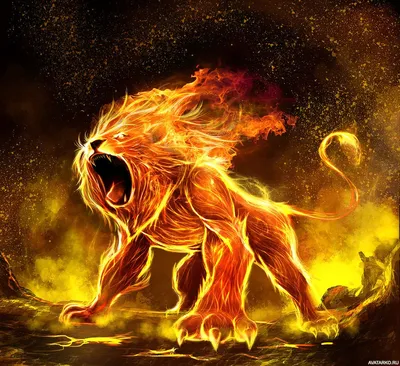 Лев огненный - фото и картинки abrakadabra.fun