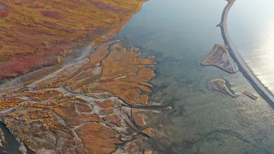 Огонь и вода , в стиле аниме, …» — создано в Шедевруме