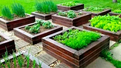 Как самому создать дизайнерский огород: простые советы | Школа садовода |  Дзен