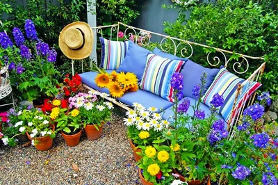 В гостях на даче, или Как создать гармоничный сад на шести сотках? Личный  опыт, фото — Ботаничка