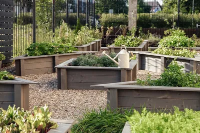 Оформление грядок: дизайн грядок на огороде на даче – фото и идеи как  красиво оформить | Houzz Россия