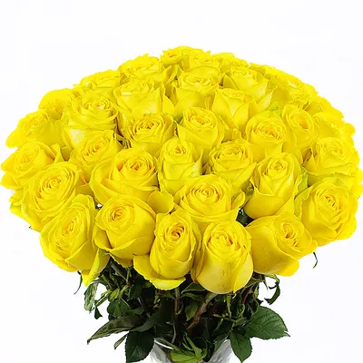 Купить Огромный букет роз 301 роза Витебск | UFL