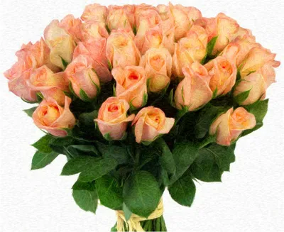 Самые красивые букеты роз и фото цветов (42 фото)