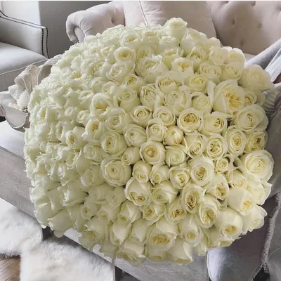 Купить Большой букет белых роз в Интернет-магазине TopFlo – доставка по  Москве и МО.