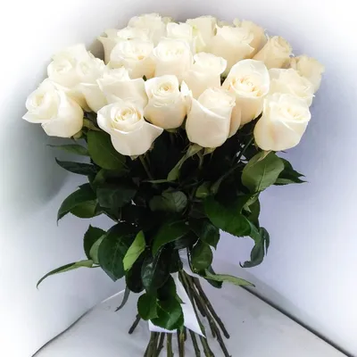 Красивый огромный букет белых роз в…» — создано в Шедевруме