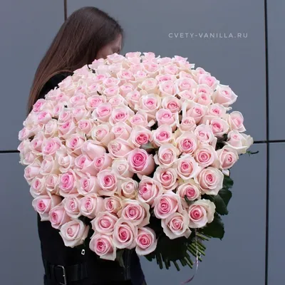 Заказать огромный букет белых роз FL-769 купить - хорошая цена на огромный  букет белых роз с доставкой - FLORAN.com.ua
