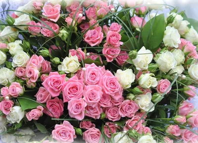 Букет из 15 белых роз 60см купить по цене 2 640 руб. с доставкой в  Краснодаре