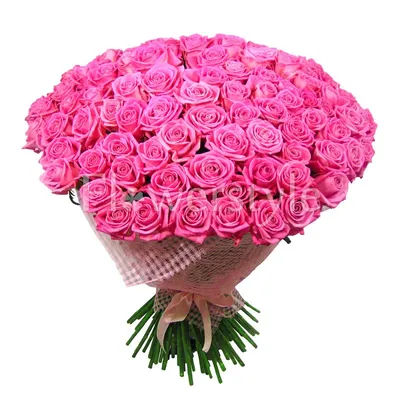 Купить букет из 88 красно-белых роз по доступной цене с доставкой в Москве  и области в интернет-магазине Город Букетов