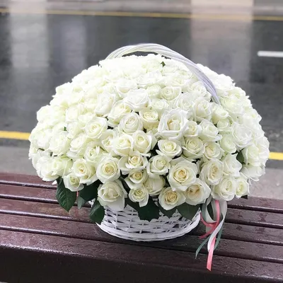 Букет из 50 белых роз | Flora Květiny Praha