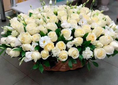 Большой букет белых роз - красивые фото