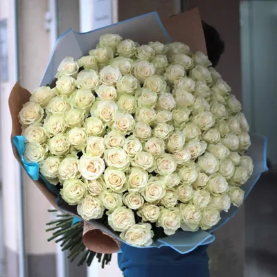 Букет из 119 нежно-розовых роз Купить по выгодной цене в Краснодаре.  Интернет-магазин Ванилла