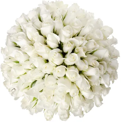 Букет из 25 белых роз купить в Оренбурге цена с доставкой - Fleur
