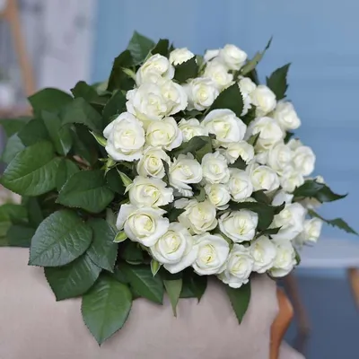 Красивый букет белых роз - красивые фото