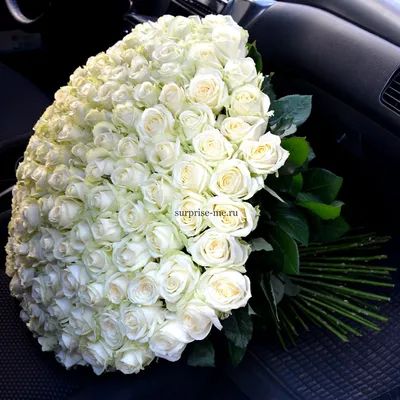 Купить Огромный букет белых роз Magnolia model №170 в Новосибирске