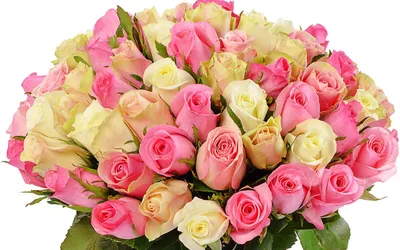 Купить Букет роз «Елена» из каталога 51 роза в Костроме - «Азалия».