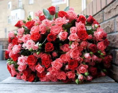 Шикарные розы с днем рождения - 77 фото