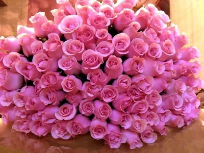 Картинки с огромным букетом роз с днем рождения (43 фото) » Красивые  картинки, поздравления и пожелания - Lubok.club